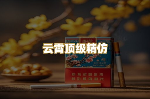 云霄顶级精仿